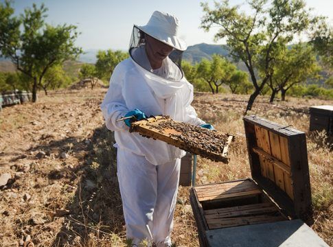 Andalucía solicita una reducción de módulos en el IRPF por la subida de costes en el campo