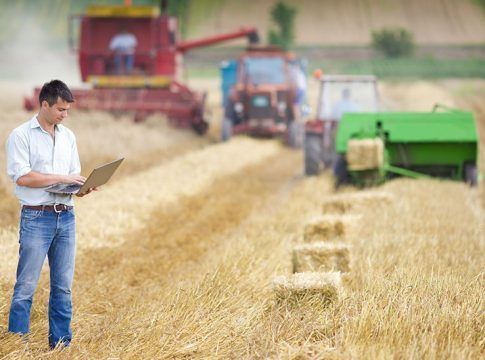 El paro sube en enero en Andalucía un 2,54% por la estacionalidad de los servicios y la agricultura￼