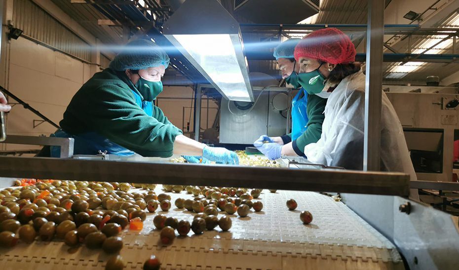 Empleo convocará en el primer trimestre nuevas ayudas para cooperativas con 8,32 millones￼