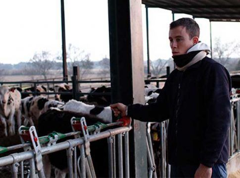 UPA afirma que España está a la cola de Europa en precios de la leche en origen