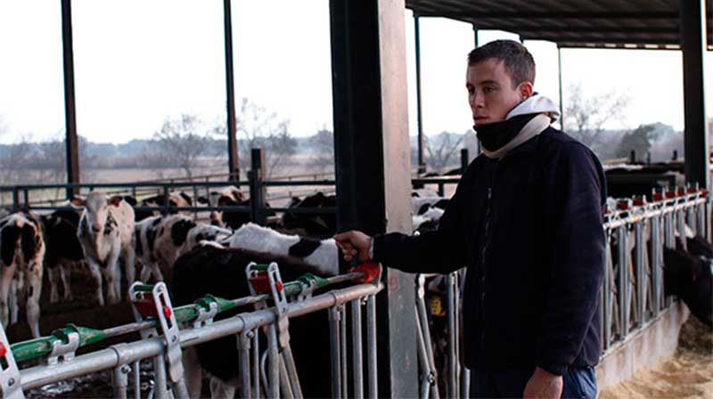 UPA afirma que España está a la cola de Europa en precios de la leche en origen