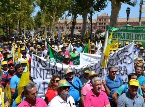 Agricultores y ganaderos sevillanos se manifestarán este viernes por una PAC justa y precios dignos 