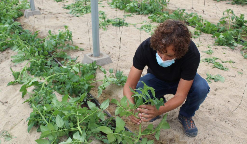 Almería da un paso más en su apuesta por la agricultura ecológica