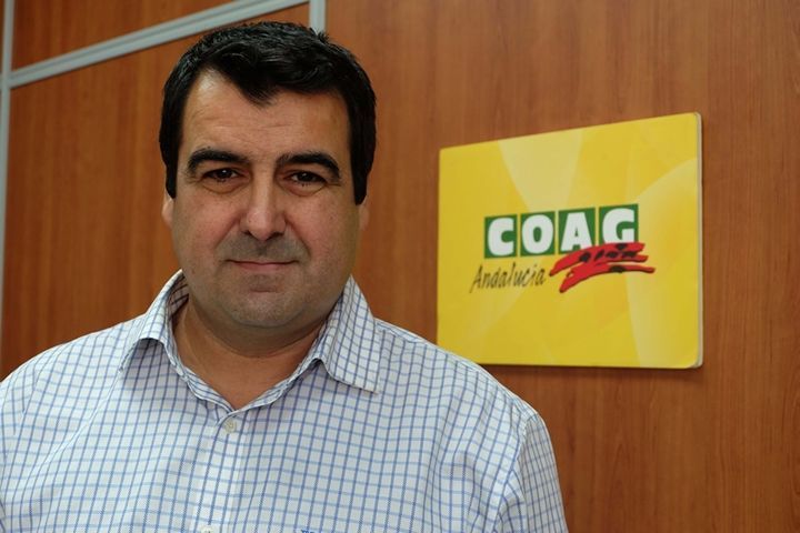Andrés Góngora, reelegido responsable estatal del sector de Frutas y Hortalizas de COAG
