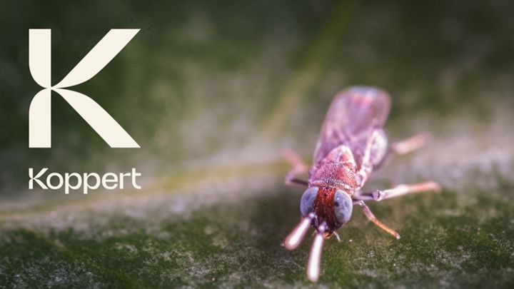Koppert lanza su nueva imagen de marca inspirada en la naturaleza