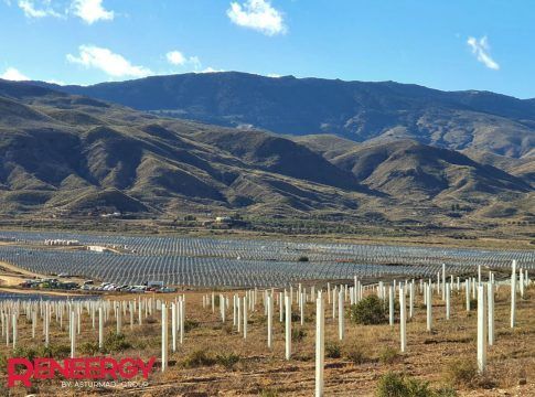 Almería acogerá cuatro parques solares con una capacidad total instalada de 180 MW bajo el nombre de proyecto Tinosa