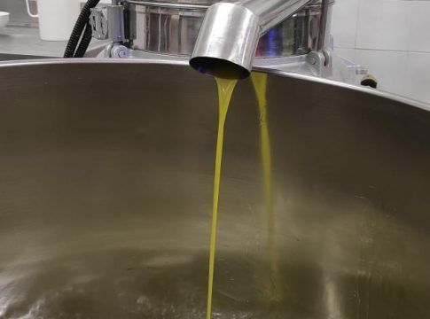 Phenoils concluye su segunda anualidad exitosamente tras investigar tecnologías extractivas para producir aceite de oliva virgen extra más saludable