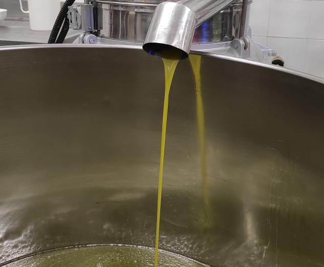Phenoils concluye su segunda anualidad exitosamente tras investigar tecnologías extractivas para producir aceite de oliva virgen extra más saludable