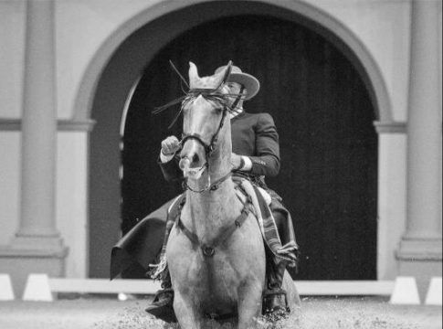 La Real Escuela Andaluza del Arte Ecuestre acoge por tercer año consecutivo la Copa del Rey de Doma Vaquera en su XVI edición