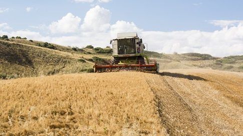 INPULSE potenciará el cultivo de leguminosas para reducir la dependencia externa en alimentación animal 