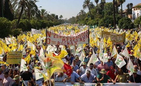 UPA Andalucía se descuelga del paro general del sector agrario andaluz del 25 de febrero