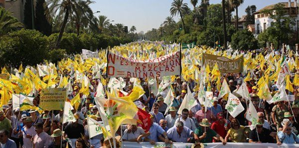 UPA Andalucía se descuelga del paro general del sector agrario andaluz del 25 de febrero