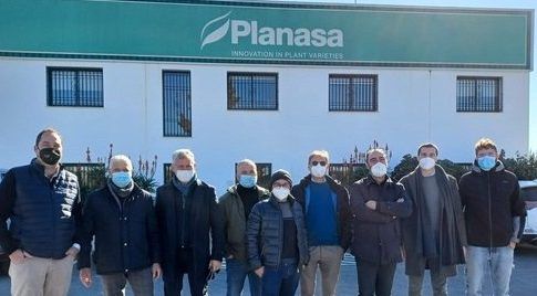 Técnicos y agricultores de Sant’Orsola visitan el centro de I+D de Planasa en Cartaya 