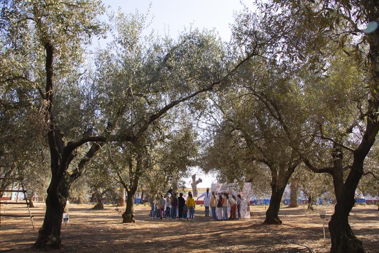 La Fundación Juan Ramón Guillén reanuda el programa de cultura aceitera Planeta Olivo tras dos años suspendido por la pandemia