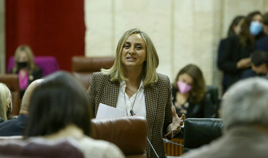 Marifrán Carazo solicita al Gobierno de España ayudas a los operadores del transporte público