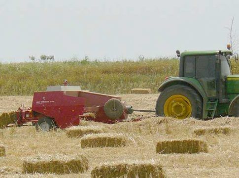 El Gobierno analiza con el sector cerealista y de piensos el impacto de la invasión rusa de Ucrania