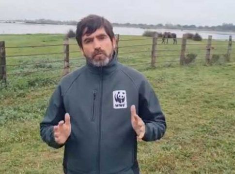 WWF y 23 súper europeos piden a Juanma Moreno que suspenda el plan que amplía regadíos en Doñana