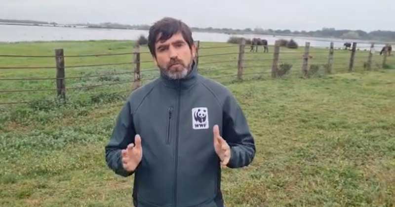 WWF y 23 súper europeos piden a Juanma Moreno que suspenda el plan que amplía regadíos en Doñana