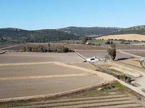 UPA alerta sobre la severa sequía que sufre España y reclama un plan de apoyo