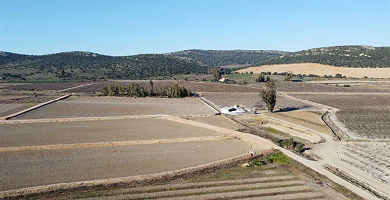 UPA alerta sobre la severa sequía que sufre España y reclama un plan de apoyo