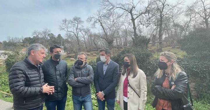 Instan a la Junta a aprobar el Plan Estratégico del Castañar, clave para la subsistencia del sector en la provincia