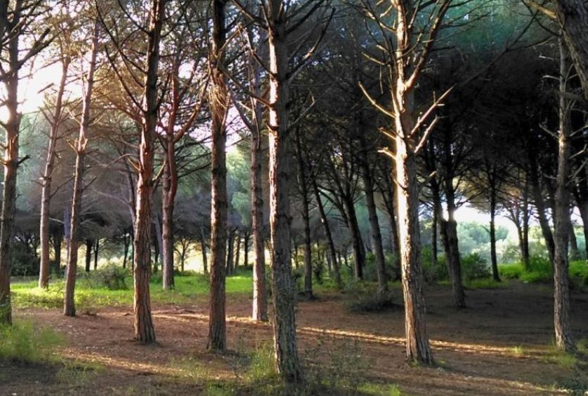 El IAJ abre el plazo de solicitudes para los campamentos juveniles de verano