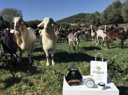 Jorge Antonio Puerto Nieto: “Yo apuesto cada vez más por la quesería ecológica”