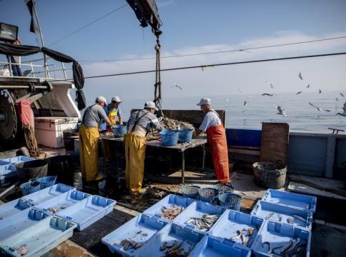 Más de 400 pescadores andaluces del proyecto Upcycling the Oceans recuperaron cerca de 6.200 kg de basura marina en 2021