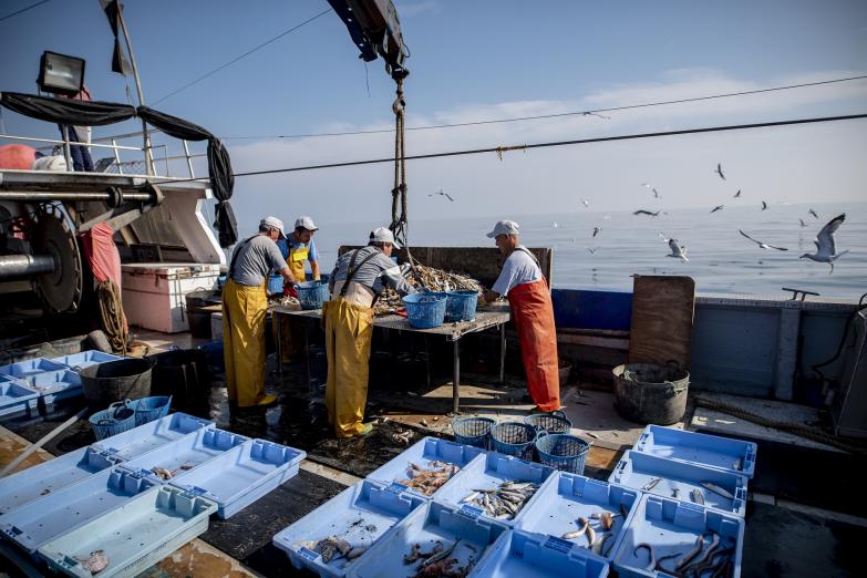 Más de 400 pescadores andaluces del proyecto Upcycling the Oceans recuperaron cerca de 6.200 kg de basura marina en 2021