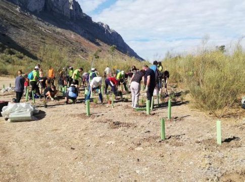 La Diputación de Málaga planta más de 1.600 árboles en Villanueva de Algaidas, Riogordo y Alfarnatejo