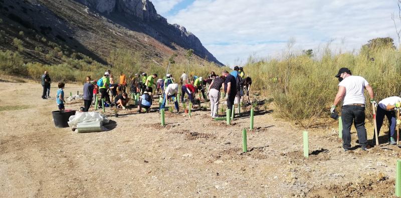 La Diputación de Málaga planta más de 1.600 árboles en Villanueva de Algaidas, Riogordo y Alfarnatejo