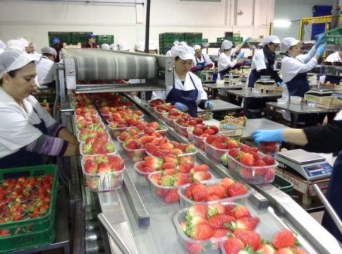 UPA Huelva pide a los piquetes que no bloqueen los camiones que transportan frutos rojos