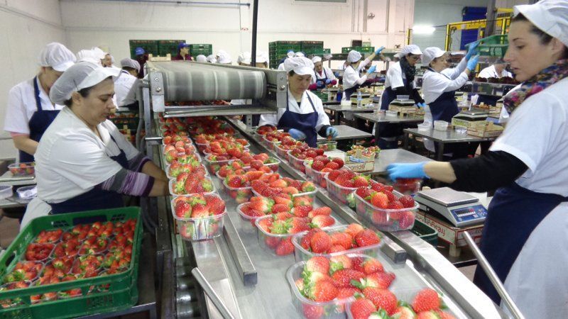 UPA Huelva pide a los piquetes que no bloqueen los camiones que transportan frutos rojos