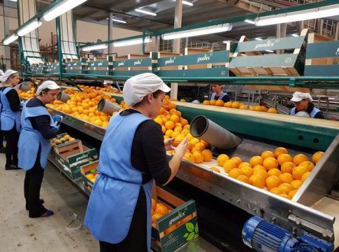 El MAPA convocará ayudas por 1,5M€ para explotaciones agrarias de titularidad compartida en 2022
