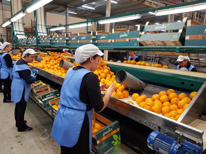 El MAPA convocará ayudas por 1,5M€ para explotaciones agrarias de titularidad compartida en 2022