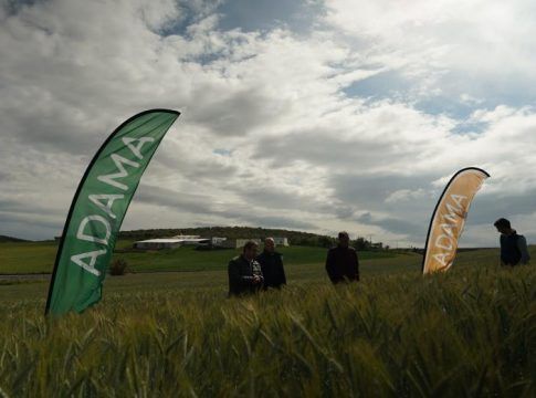 Adama presenta en Sevilla Kampai, su nueva solución contra malas hierbas en cereal