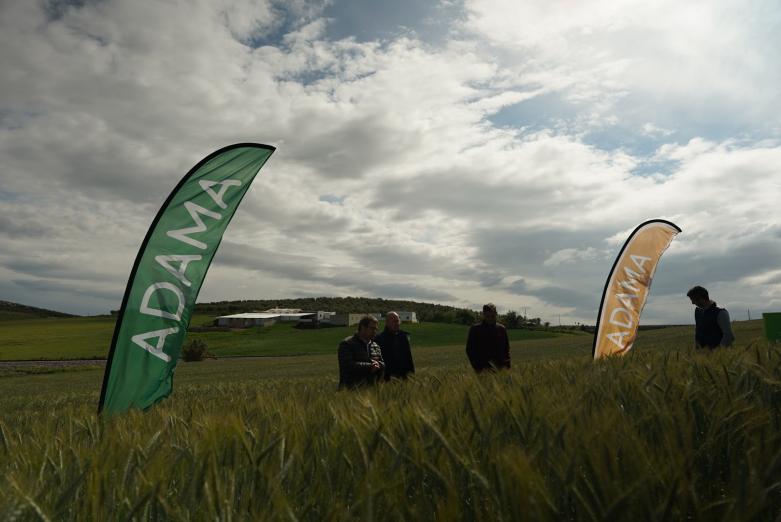 Adama presenta en Sevilla Kampai, su nueva solución contra malas hierbas en cereal