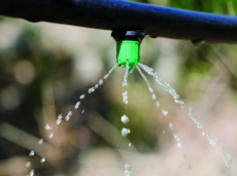 La Junta respalda el uso eficiente del agua y de la energía en el campo con 40,5 millones