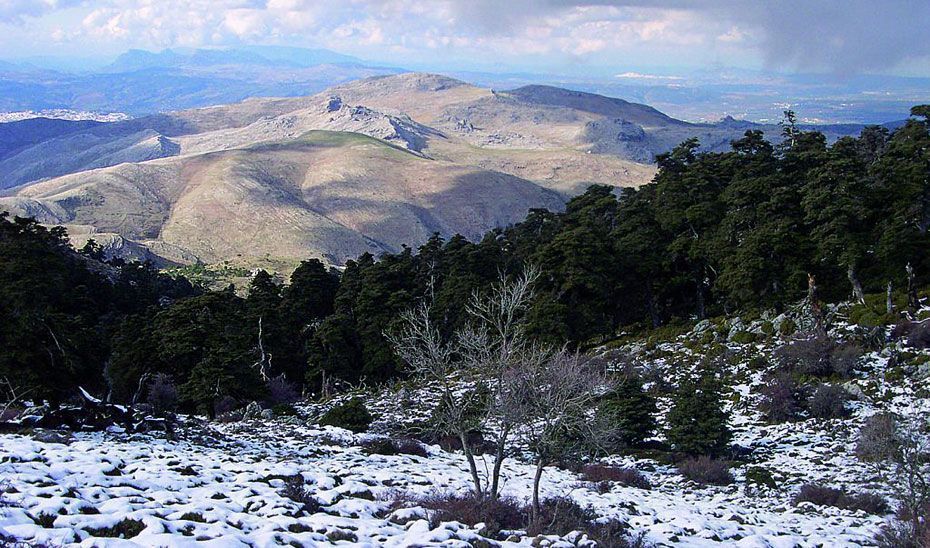 En marcha actuaciones por más de 12 millones de euros en el Parque Nacional Sierra de las Nieves