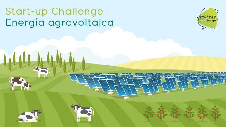 ESGeo España desarrolla Winesolar, un proyecto sostenible de energía fotovoltaica puesto en marcha en un viñedo de González Byass