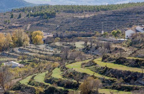 Andalucía, un inmenso espacio protegido