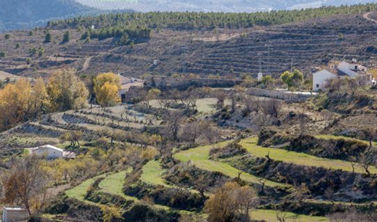 Andalucía, un inmenso espacio protegido
