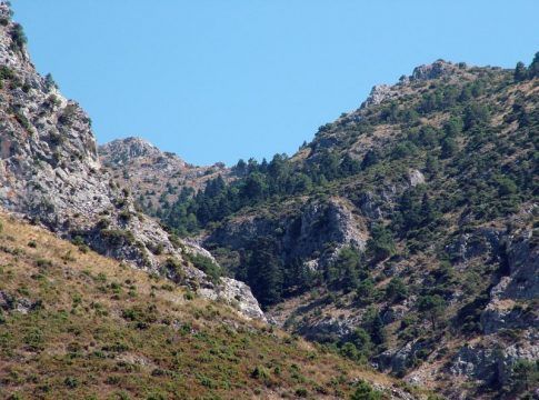 La Diputación proyecta nuevos miradores y mejoras en carriles y aparcamientos de la Sierra de las Nieves