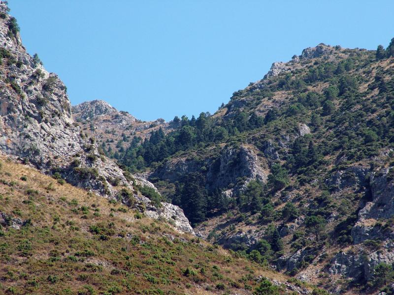 La Diputación proyecta nuevos miradores y mejoras en carriles y aparcamientos de la Sierra de las Nieves