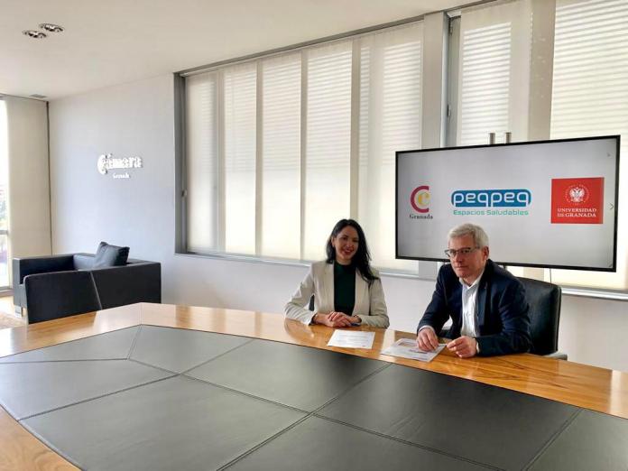 Peqpeq y la UGR firman un acuerdo para llevar a cabo un estudio que revolucionará los sistemas de ventilación en espacios de trabajo