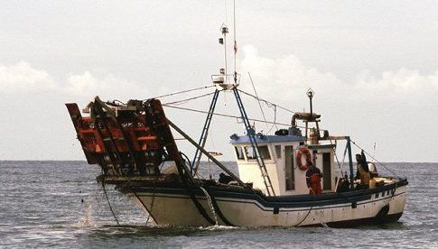 Los barcos que faenan la chirla en el Golfo de Cádiz afectados por paros temporales reciben 720.000€ en ayudas
