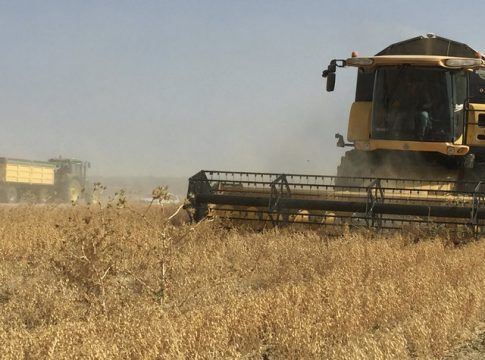 Crespo defiende la necesidad de una bajada de impuestos para oxigenar al sector agrario