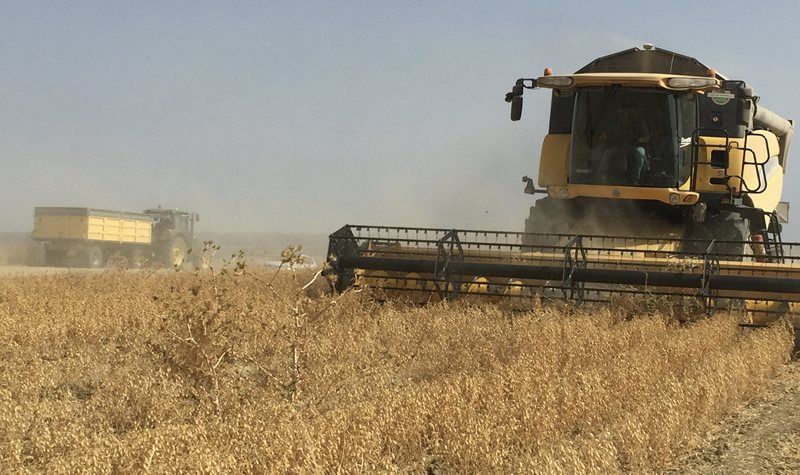 Crespo defiende la necesidad de una bajada de impuestos para oxigenar al sector agrario