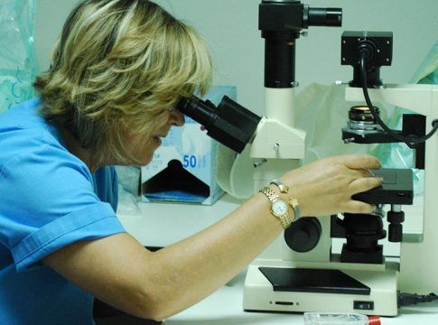 Un proyecto sobre células CAR-T, galardonado como innovación tecnológica en los Premios Zinkinn