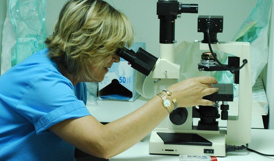 Un proyecto sobre células CAR-T, galardonado como innovación tecnológica en los Premios Zinkinn